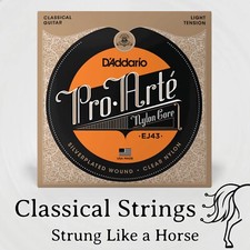 D'Addario Pro-arte EJ43 Classical Guitar Strings - Nylon Core - Light Tension