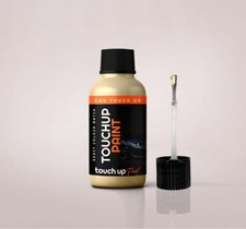 Touch Up Paint For GMC Typhoon