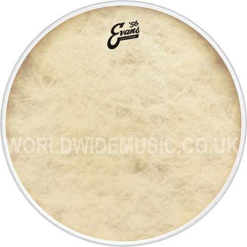 Evans calftone bass drum - drum, head