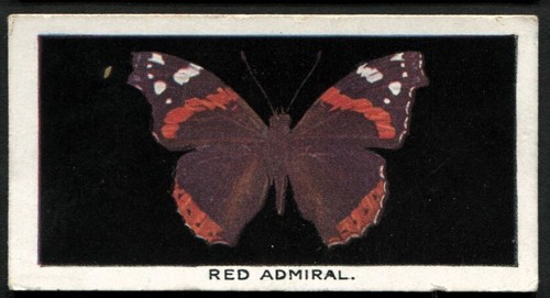 Tobacco card godfrey - tobacco, card,
