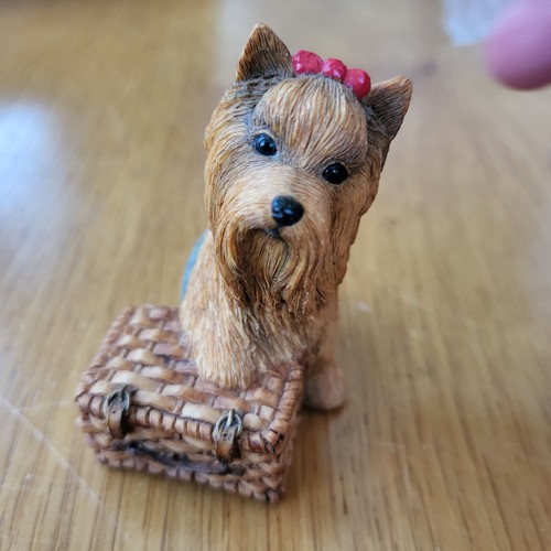Yorkshire terrier yorkie - terrier,