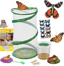 Insect Lore Butterfly Garden