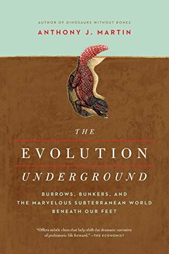 The evolution underground - the,