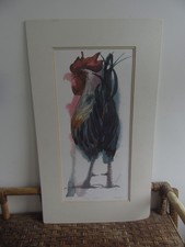 Mary Ann Rogers Limited