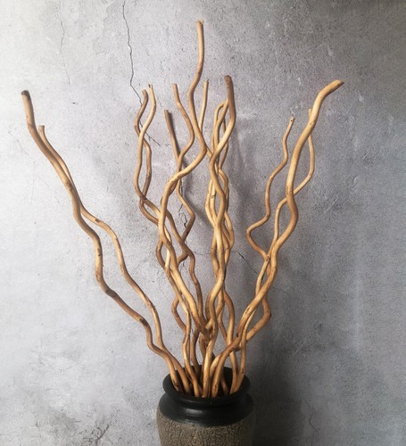 Dried curly willow - curly,