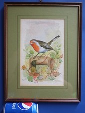 Watercolour Painting Robin Bird Ornithology by Dominique Audurier original
