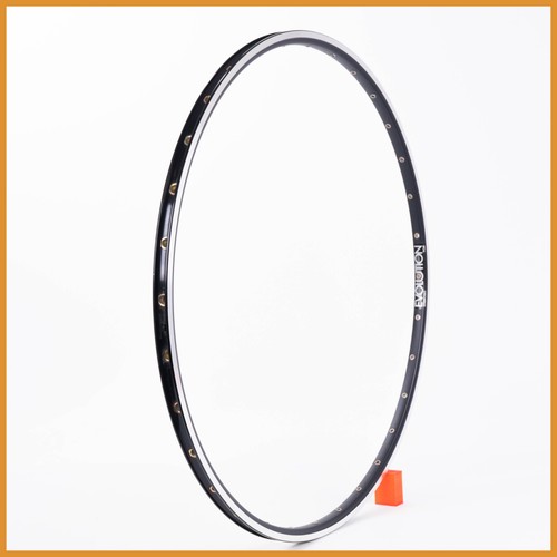 Nos ambrosio evolution - nos, rim