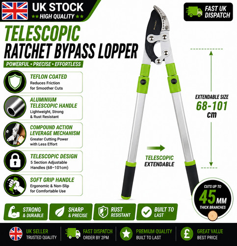 Telescopic ratchet bypass - telescopic,