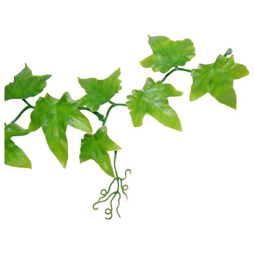 Lucky reptile ivy - lucky, lp-72