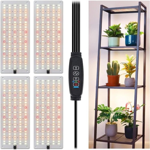 Hour timer cycle plant - cycle, grow