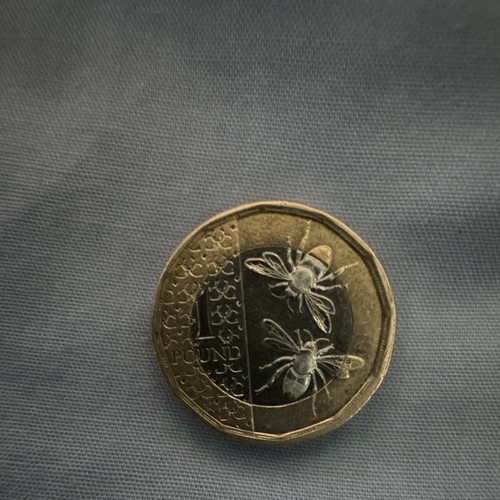 One pound coin - uk, "one