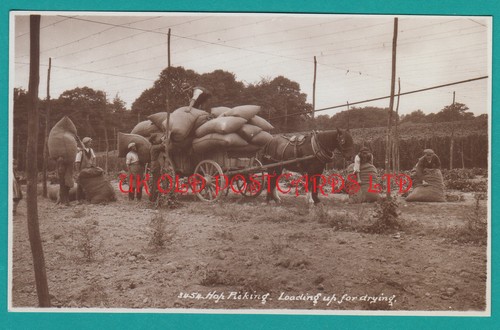 Kent hop picking loading up - kent,