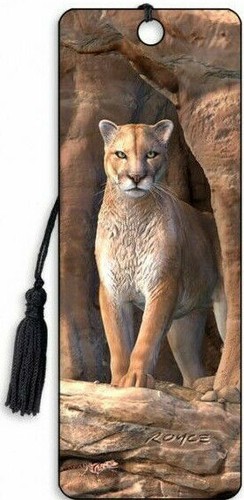 Mountain lion puma panther - ,