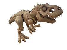 T-Rex Dinosaur Fossil Skeleton