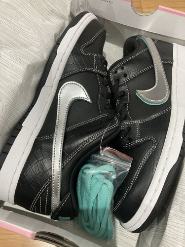 Brand new nike dunk - sb, pro