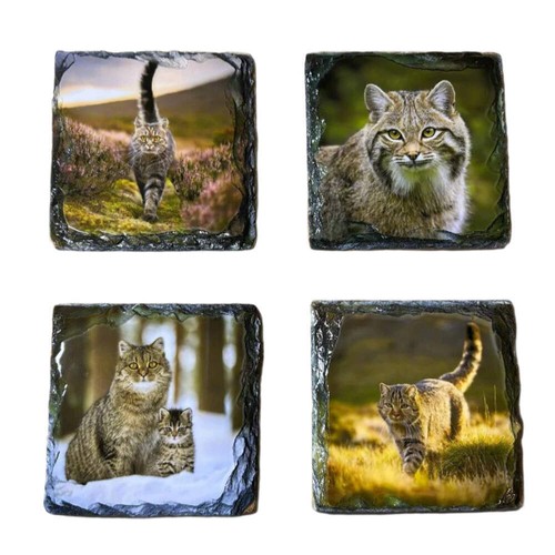 Slate coaster set scottish - slate,