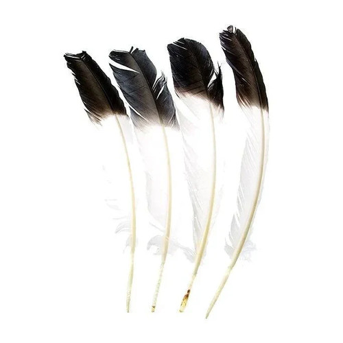 Native american style - american,