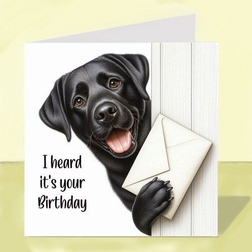 Black labrador dog birthday - dog,,