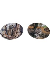 Danbury Mint Majesty Of Owls Collector Plates Set Scops Little T2870 JNB PLATES 
