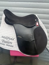 Black 17 Inch Rhinegold 9 Inch