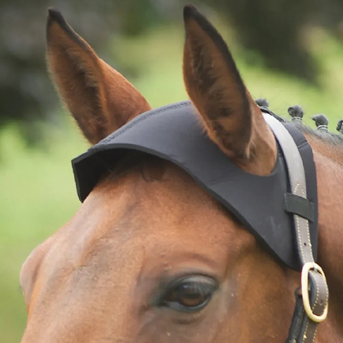 Equestrian poll guard - hy,