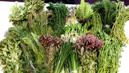 Live tropical aquarium - live,