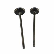 Intake & Exhaust Valves Kit
