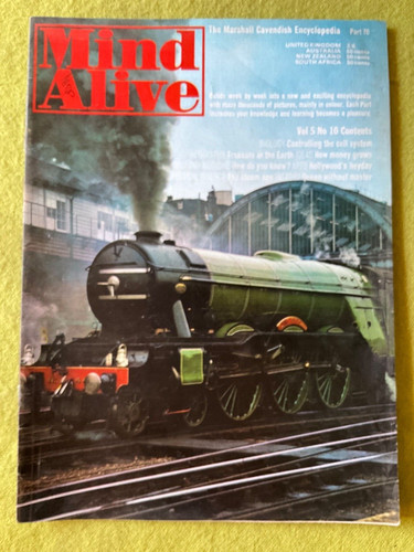 Mind alive treasure - alive,