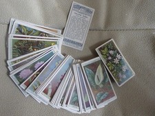 A FULL SET OF WILLS CIGARETTE CARDS  -- WILD FLOWERS