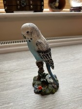 Vintage Blue Budgerigar Budgie