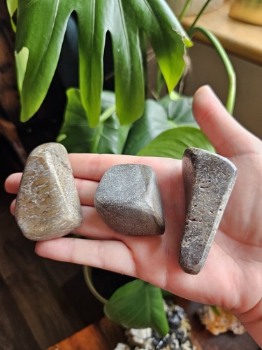 Dinosaur fossil bone - fossil, authentic