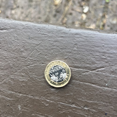 Rare 2025 bee - , 1