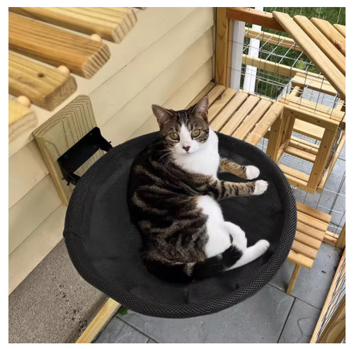 Cat hammock wall mounted cats - cat,