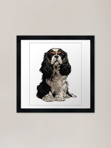 Cavalier king charles spaniel - cavalier,