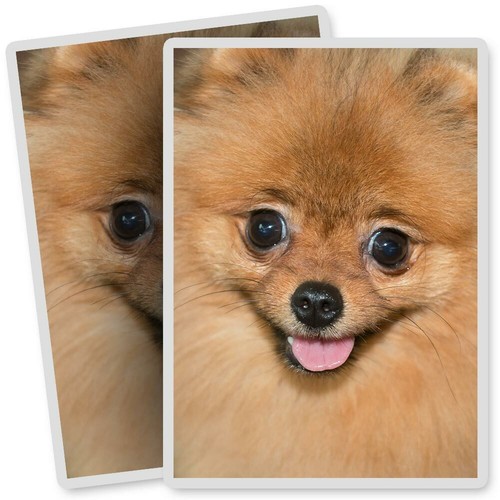 Vinyl stickers 7x10cm - vinyl,