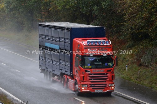 Truck photo 12x8 scania r560 - truck,