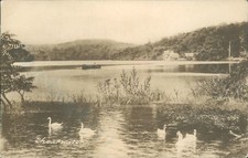 Shearwater lake  R wilkinson