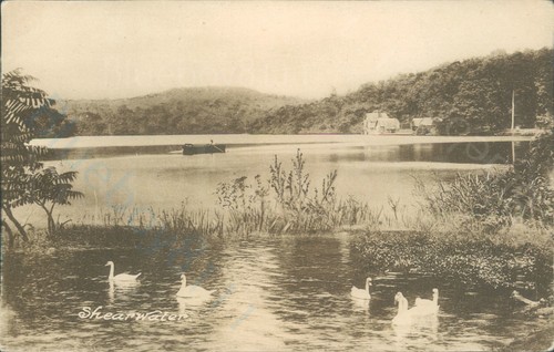 Shearwater lake wilkinson - lake, r
