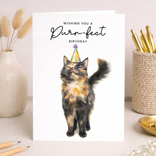 Tortoiseshell cat birthday - cat,