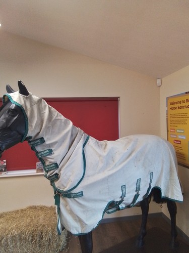 White horseware ireland - white,