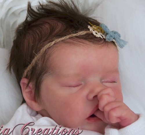 Twin new reborn baby - *,