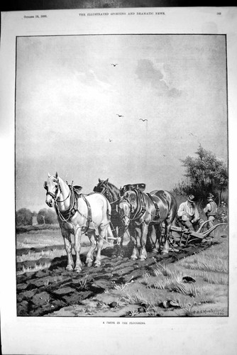 Original old antique print - original,