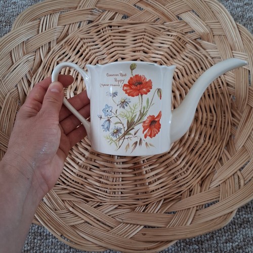 Royal winton watering can - winton,