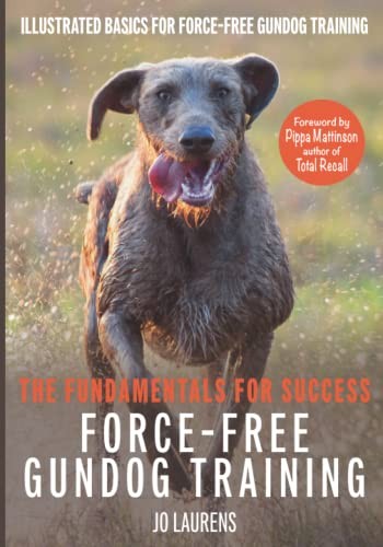 Force free gundog training - force-free,