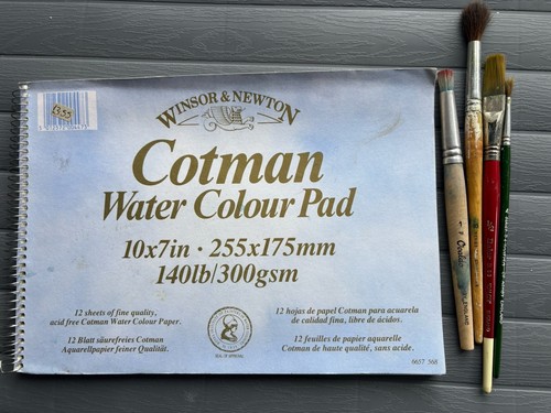 Winsor newton cotman - winsor,