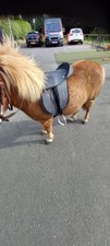 Pony Saddle Set 10”/12”