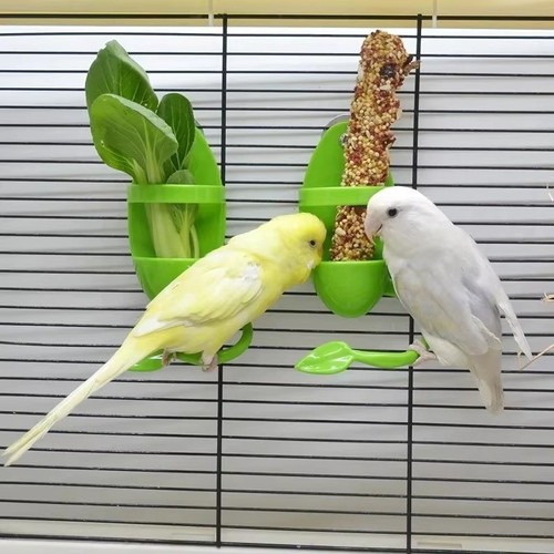 Plastic bird feeding holder - plastic,