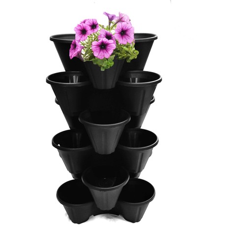 Black strawberry trio - black,