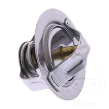 Genuine OEM Thermostat 1 pc