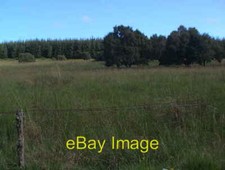 Photo 6x4 Pasture land with